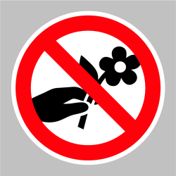 Sticker cueillette de fleurs interdit