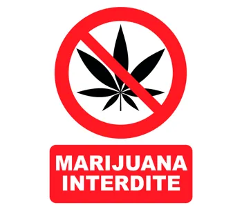 Adhésif Panneau marijuana interdite