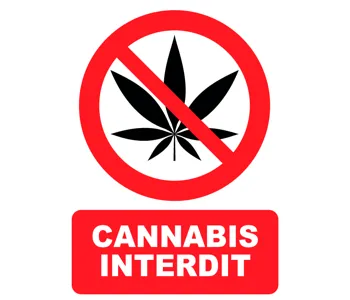 Adhésif Panneau cannabis Interdit