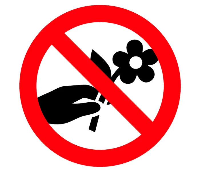 Autocollant cueillette de fleurs interdit
