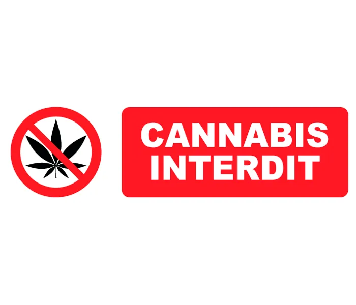 Autocollant Pictogramme cannabis Interdit